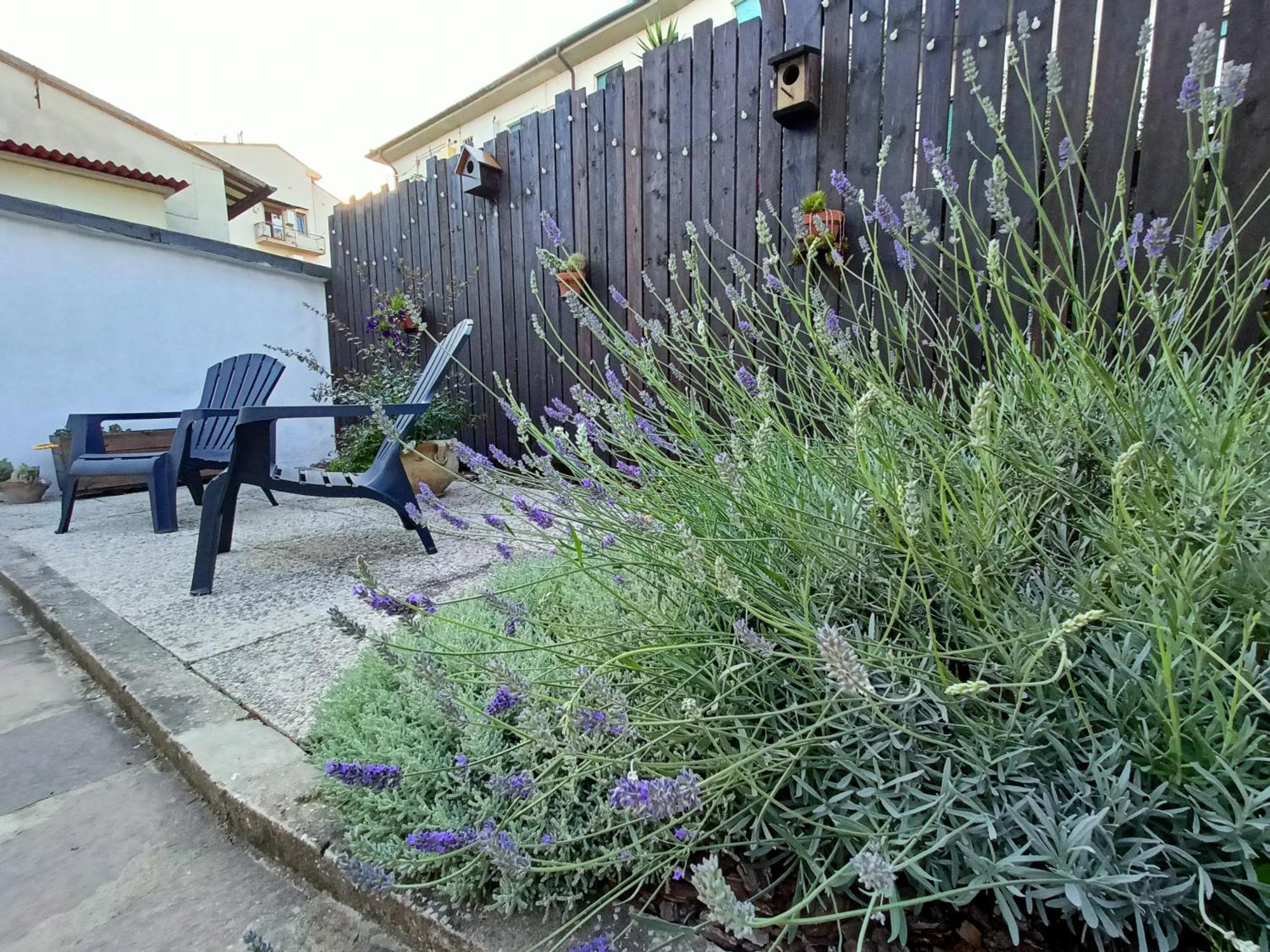 Aela Home Pisa Exterior photo